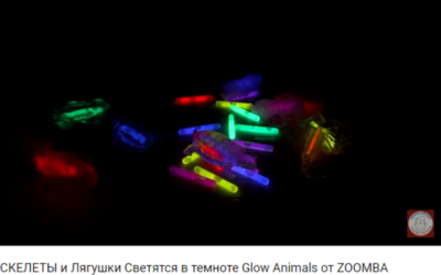 Скелеты и животные в коллекции Glow Animals от ZOOMBA